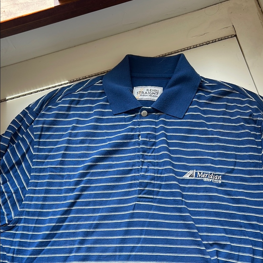 Blue Striped Polo